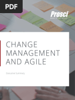 CM and Agile Executive Summary PDF