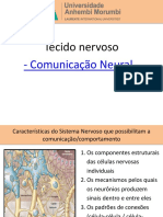 Aula 3 - Comunicação Neural