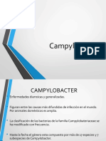 Campylobacter