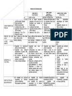 Proceso de Hominizacion