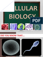 Cellular Biology