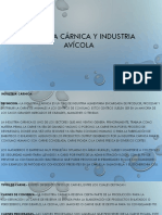 Industria Carnica y Avicola