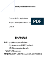 Cultivation Practices of Banana: Course: B.Sc. Agriculture Subject: Principles of Horticulture Unit:4