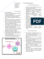 Functions of Nucleic Acids Are:: Nucleic Acids Consist of Either One or Two Long Chains of Two Types of Nucleic Acids