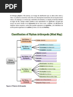 Árbol Filogenético