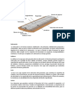 Pavimentos Rigidos PDF