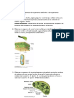 Ejercicio XII