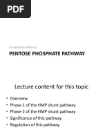 7 HMP Shunt Pathway RO PDF v1