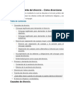 Causales y Trámite Del Divorcio