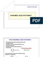 Shikimic Pathway