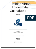 Importancia de La Areas Funcionales de La Empresa