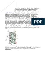 The Fungal Cell Wall