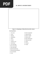 Iii. Result and Discussion