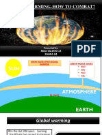 Global Warming Brief Presentation