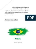 Proceso de Importación de Brasil A Colombia - Trabajo Terminado