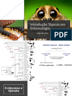 MInicurso Tópicos em Entomologia UFSB 2019