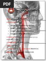 Carotida Externa ...