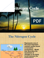 Nitrogen Cycle