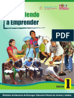 Aprendiendo A Emprender I