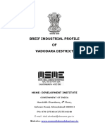 (MAIN PPT For MAPPING) BIP VADODARA 100812.doc FRESH PDF