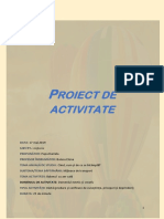 Proiect de Activitate. Balonul de Aer Cald