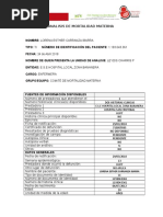 Analisis de Mortalidad Materna Lorena Carranzaibarra