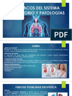 Fármacos Del Sistema Respiratorio y Patologías