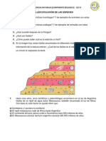 Taller Evolución de Las Especies