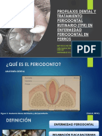 Profilaxis Dental y Tratamiento Periodontal Rutinario (TPR