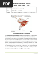 Geography Research Project: Amazon Forest Fires - 2019