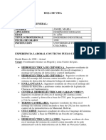 Hoja de Vida Ingeniero Residente PDF