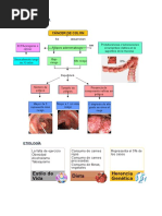 Fisiopatologia