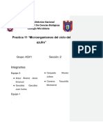 Practica 11-Eco-Ciclo Del Azufre