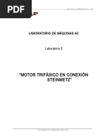 L6 Motor Trifásico en Conexión STEINMETZ