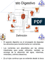 9 Aparato Digestivo