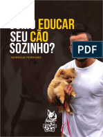 Como Educar Meu Cão Sozinho