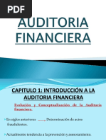 Auditoria Financiera