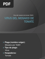 Virus Del Mosaico de Tomate