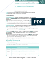 Enzyme Worksheet Answer Key