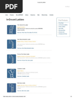 In Ground Ladders