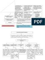 Exquema Evaluacion Impacto Ambiental