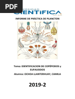 Identificacion de Copépodos y Eufausidos