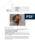 Resultados y Discusión Moluscos