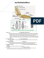 Platyhelminthes