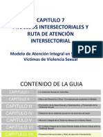 Capitulo 7 Procesos Intersectoriales Y Ruta de Atención Intersectorial