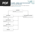 HSE Organisational Structure Template