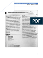 Ejercicio Formativo Neuroanato 1 Medula Espinal