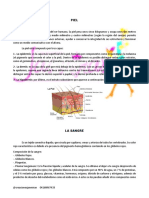 Guia Microblading PDF