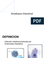 Amebiasis Intestinal Pediatria Internado