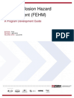 FEHM Final June 2016